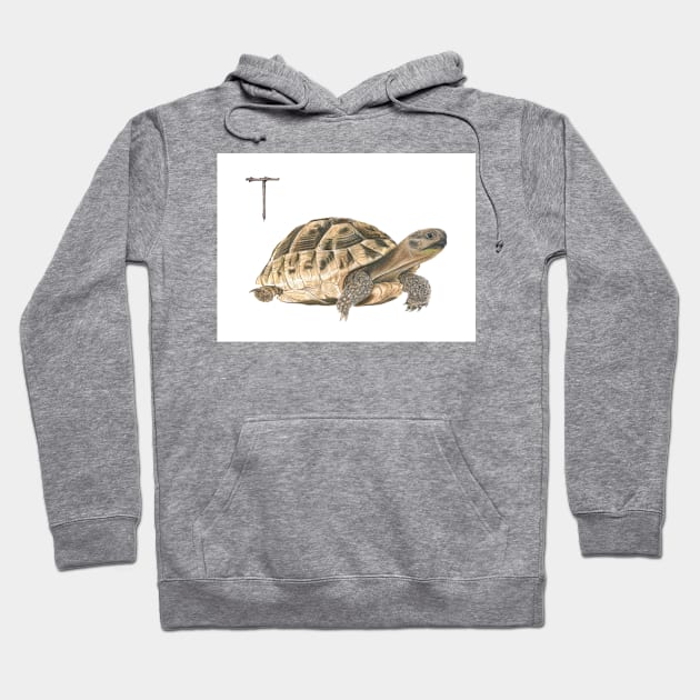 T for turtle alphabet illustration, pencil illustration from my alphabet series Hoodie by DamiansART